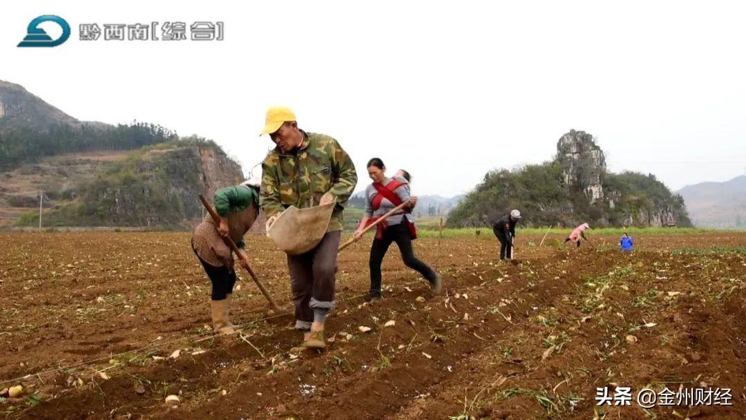 最新興仁下山鎮(zhèn)視頻，揭示一個美麗而充滿活力的鄉(xiāng)村面貌