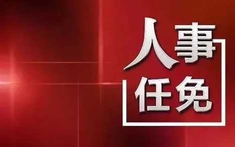 中央最新人事任免，蔡某某的新職務(wù)與未來展望