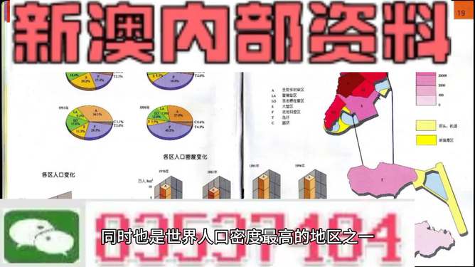 新澳門正版精準(zhǔn)免費(fèi)大全與平衡釋義，探索、實(shí)踐、落實(shí)