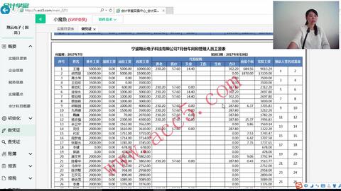 最新酒店會計賬務處理，提升效率與精確性的關(guān)鍵策略